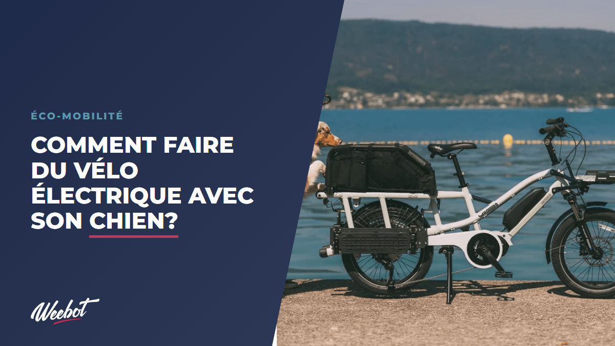Comment faire du vélo électrique avec son chien? - Weebot