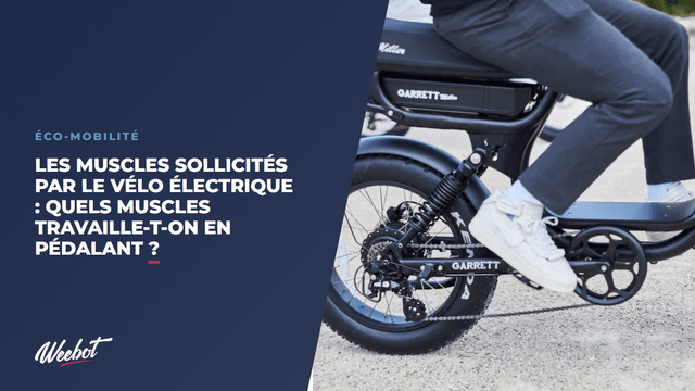 Quel muscle fait travailler le vélo électrique ? Tous les muscles sollicités en pédalant