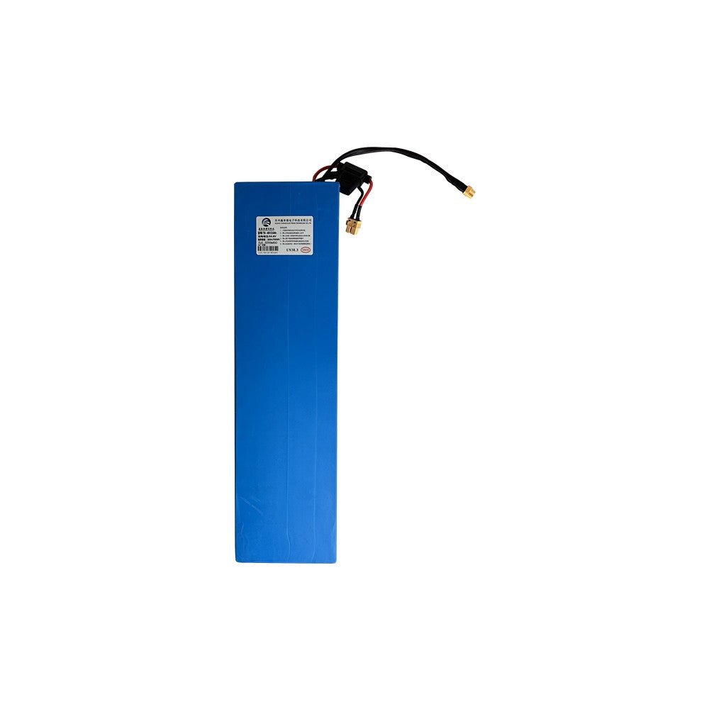 Batterie 48V 16Ah pour Trottinette Électrique Z8 / Z9 - Weebot