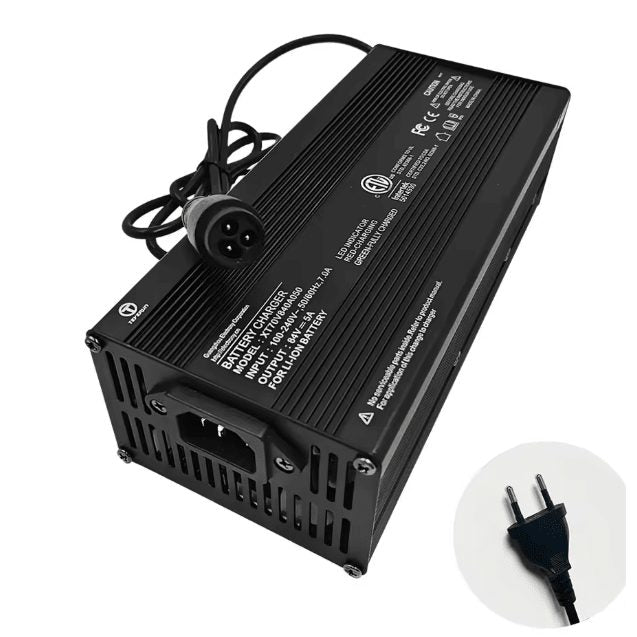 Chargeur Rapide 5Ah LP16-3 pour Batterie 72V Teverun - Weebot