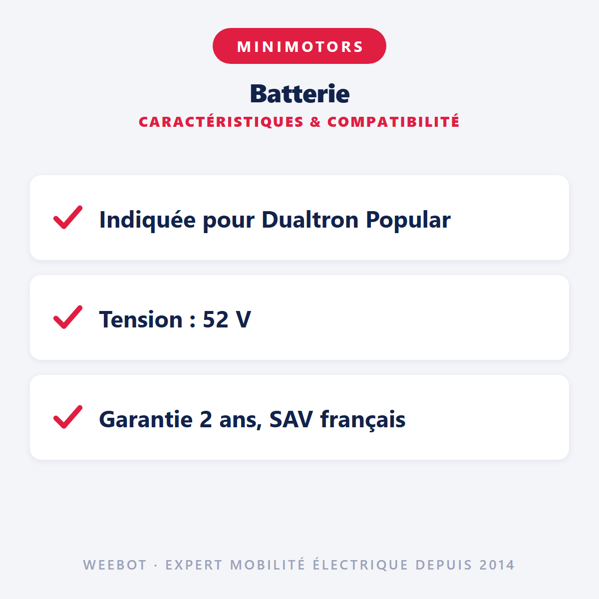 Batterie Pour Trottinette Électrique 52V Dualtron Popular Double Moteur- Minimotors (Batterie Uniquement) - Weebot