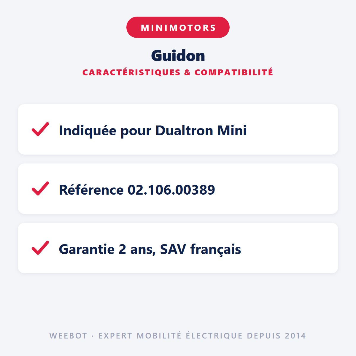 Guidon pour Trottinette Électrique Dualtron Mini - Weebot
