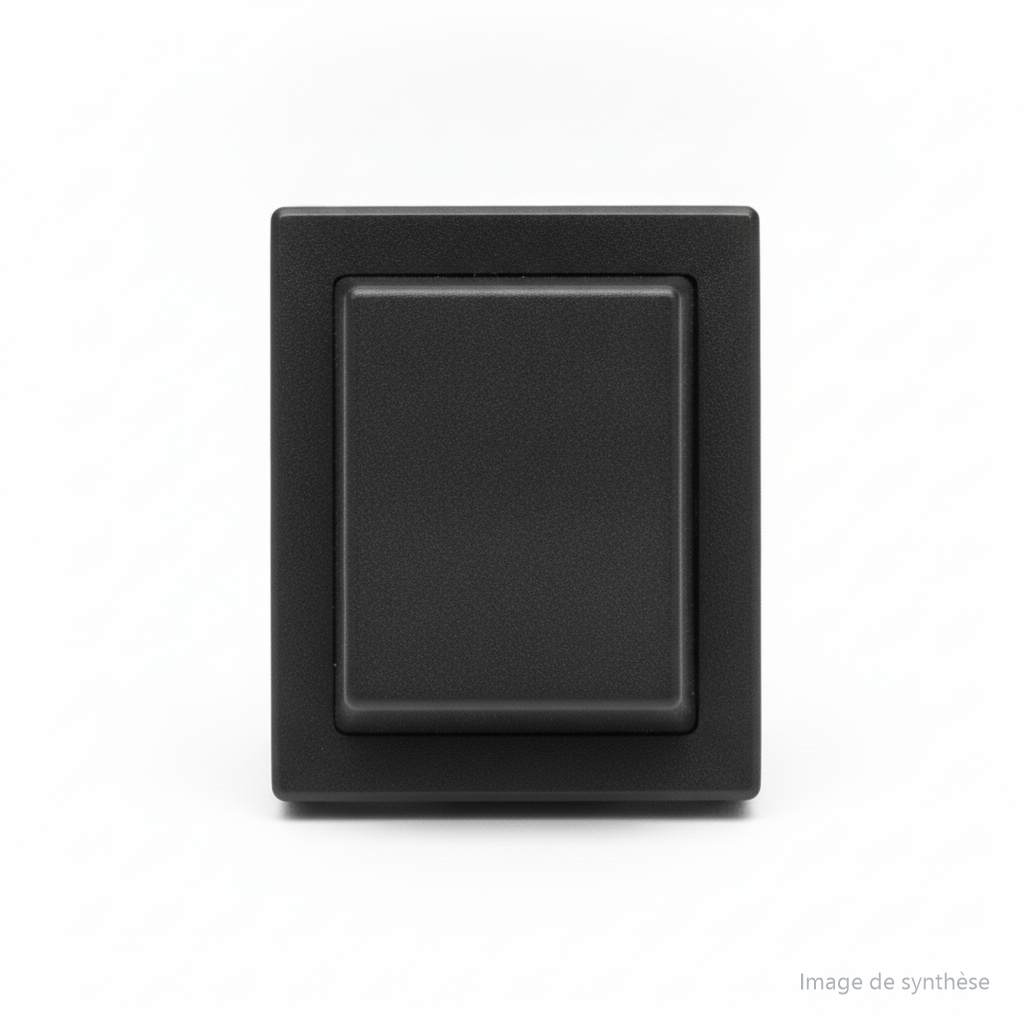 Interrupteur Principal, vue 3