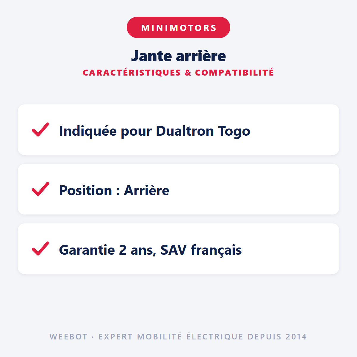 Jante arrière pour Trottinette Électrique Dualtron Togo Ltd - Weebot