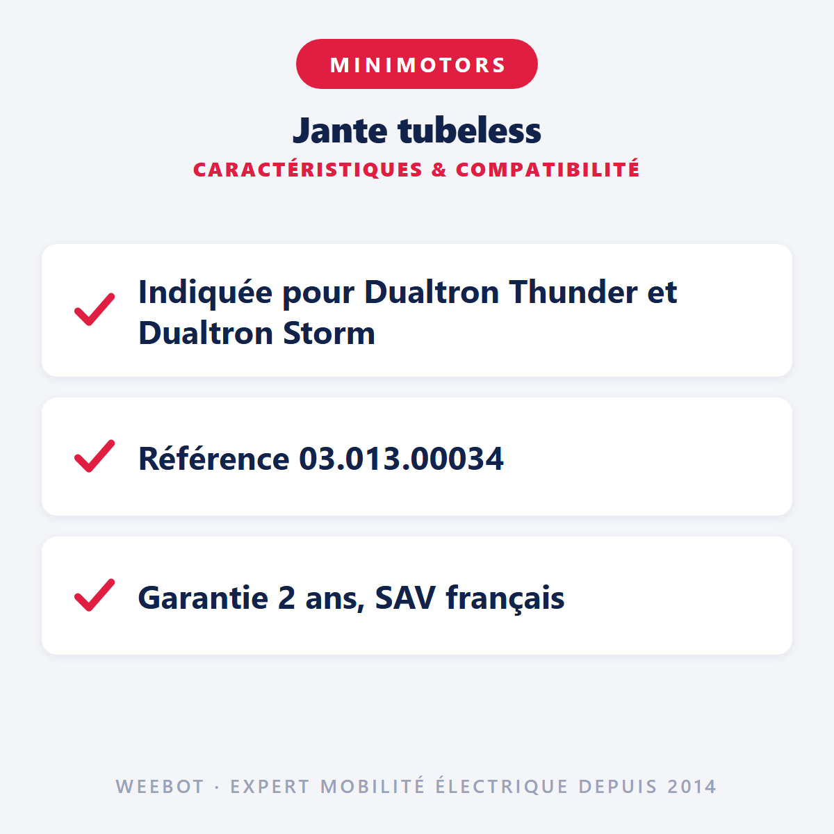 Jante tubeless pour Trottinette Électrique Dualtron Thunder Storm - Weebot