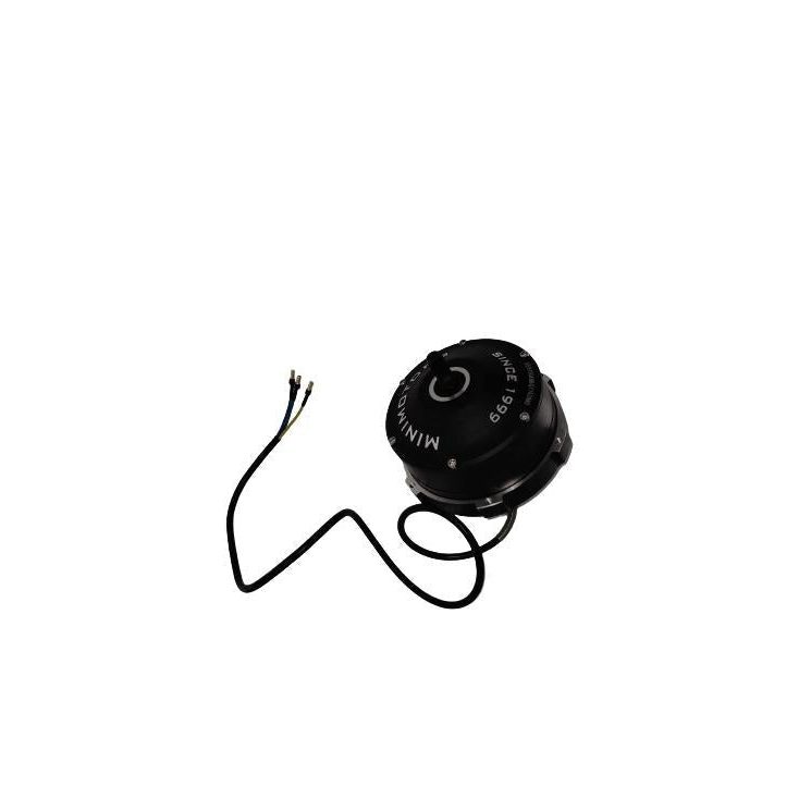 Moteur Brushless pour Trottinette Électrique Dualtron Eagle Et Eagle Pro - Weebot