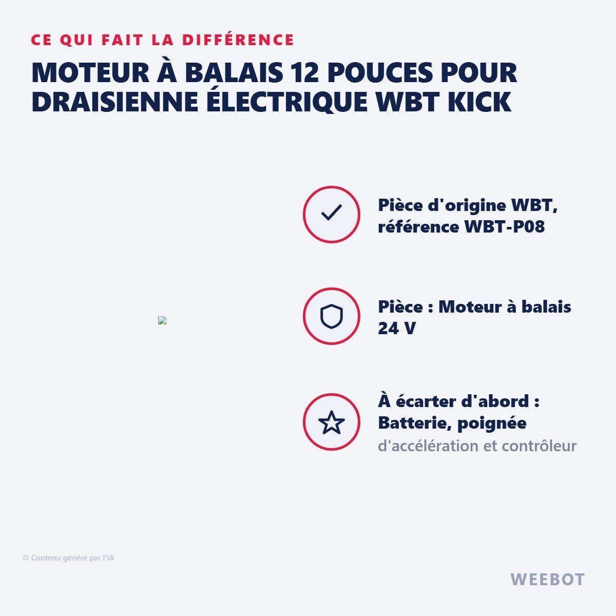 Moteur à Balais 12 Pouces pour Draisienne Électrique WBT Kick - Weebot
