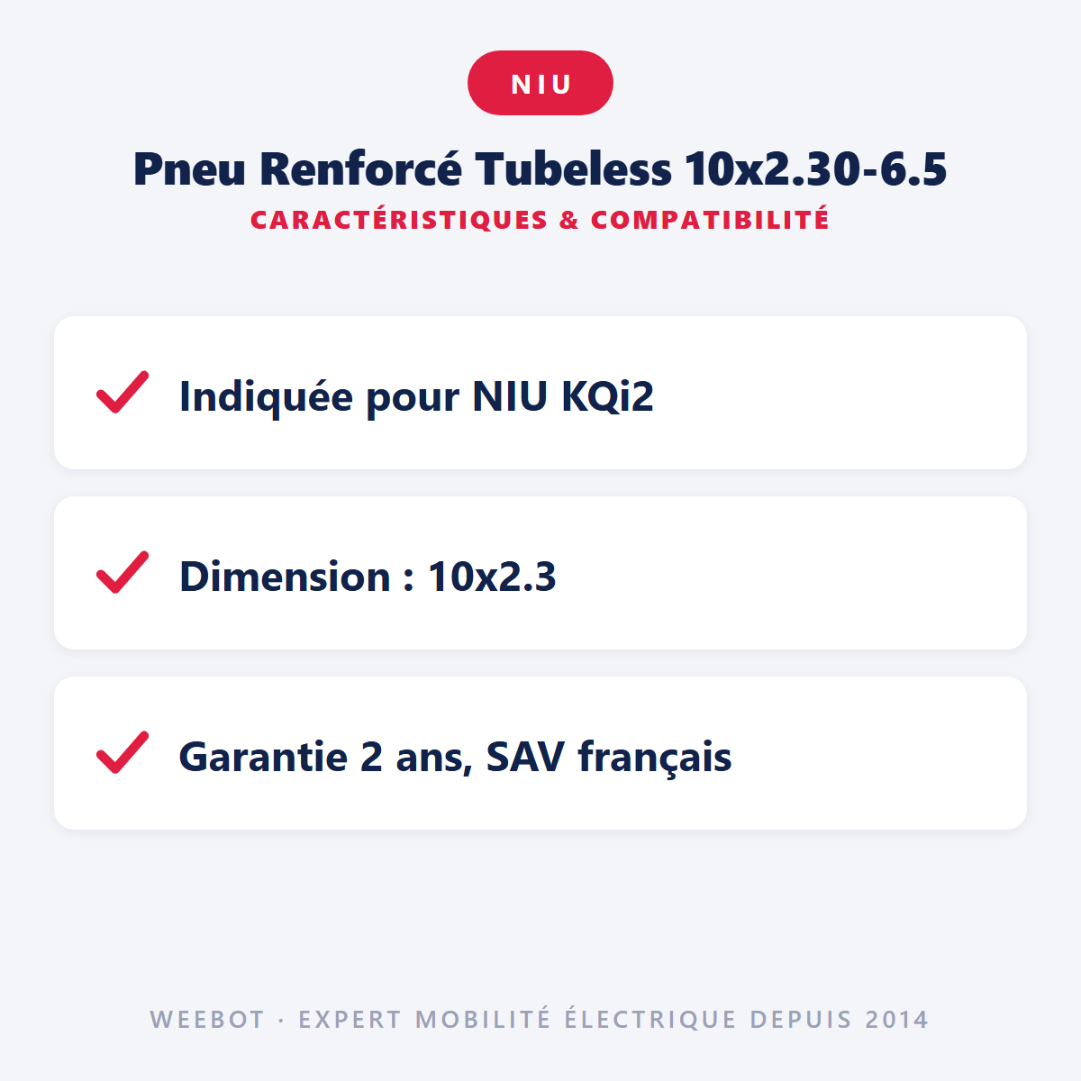 Pneu Renforcé Tubeless 10x2.30-6.5 : caractéristiques et compatibilité