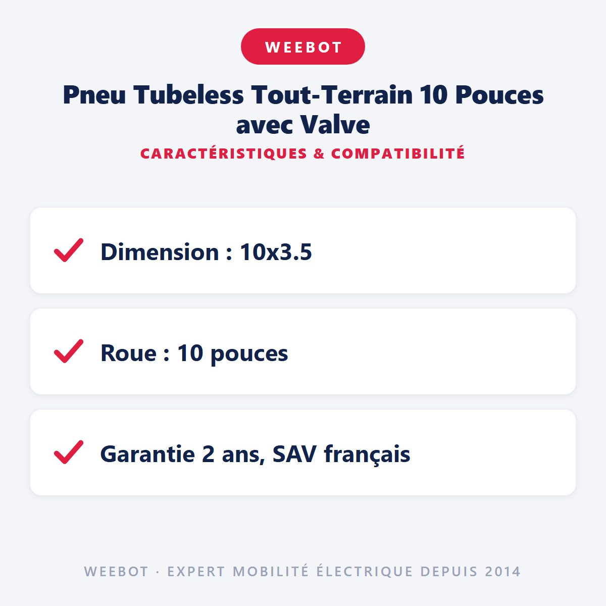 Pneu Tubeless Tout-Terrain 10 Pouces avec Valve : caractéristiques et compatibilité