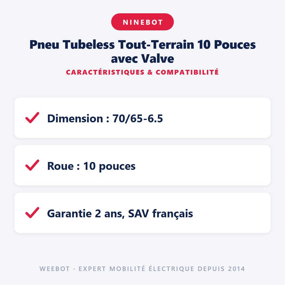 Pneu Tubeless Tout-Terrain 10 Pouces avec Valve : caractéristiques et compatibilité