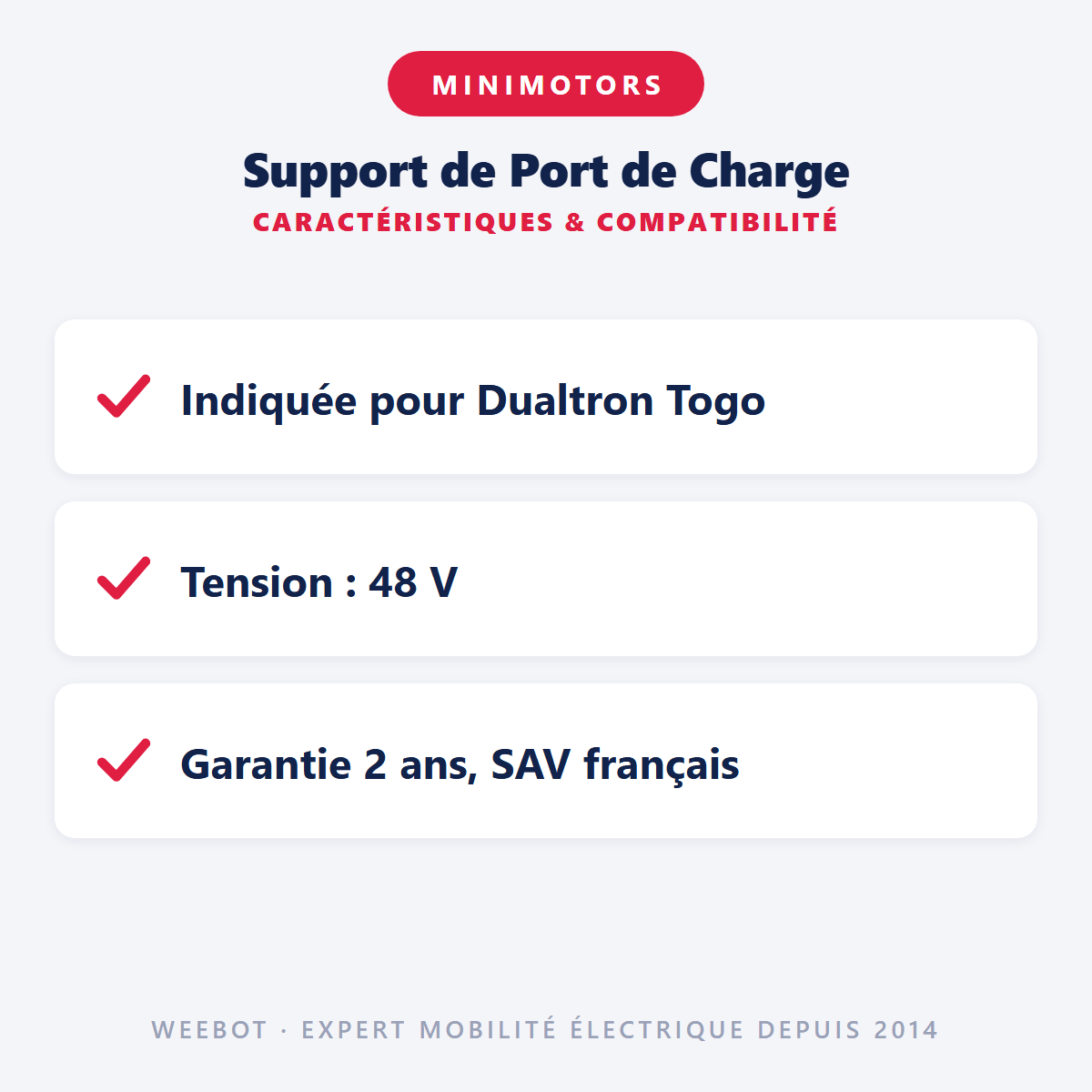 Support de Port de Charge pour Trottinette Électrique Dualtron Togo 48V - Weebot