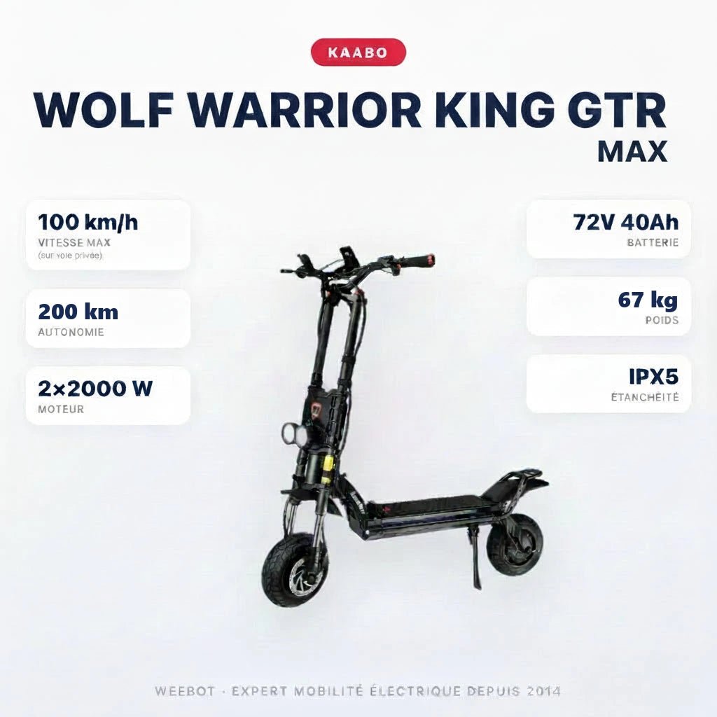 Trottinette Électrique Wolf Warrior King GTR MAX Kaabo - Weebot