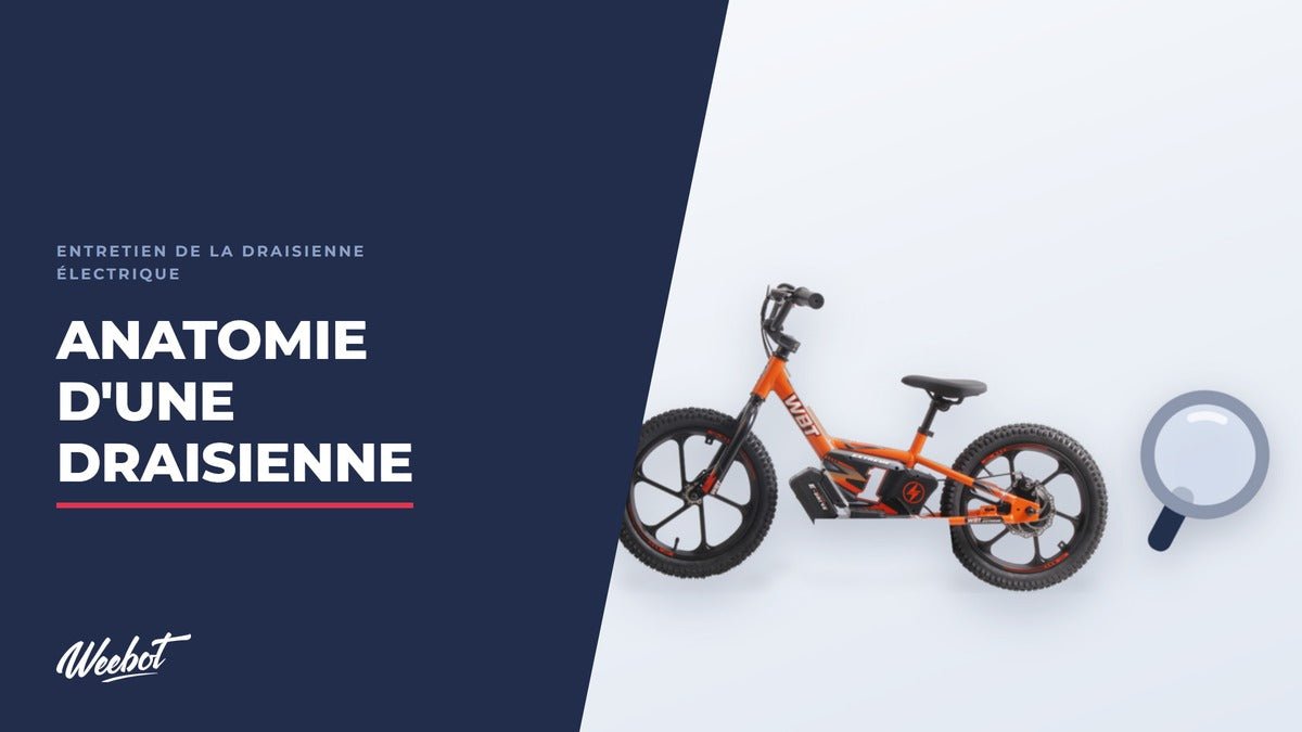 Anatomie d'une draisienne électrique : pièce par pièce - Weebot