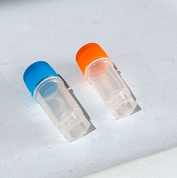 Deux petits flacons de colle en plastique transparent avec des bouchons bleu et orange
