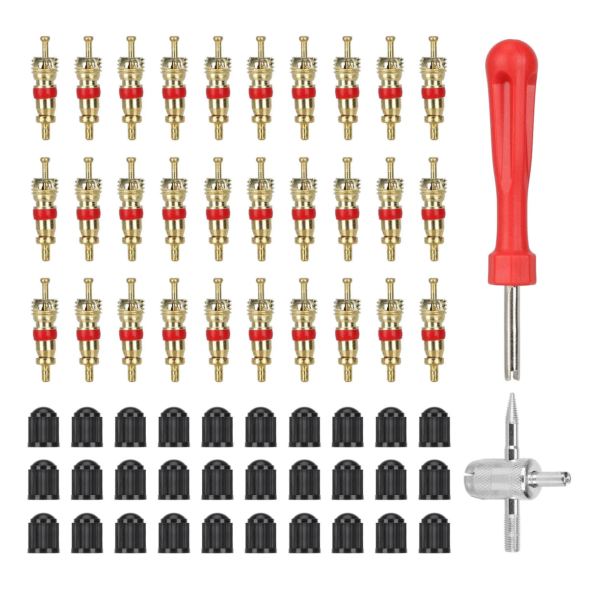 Ensemble d'obus de valve, bouchons noirs et outils de démontage avec manche rouge