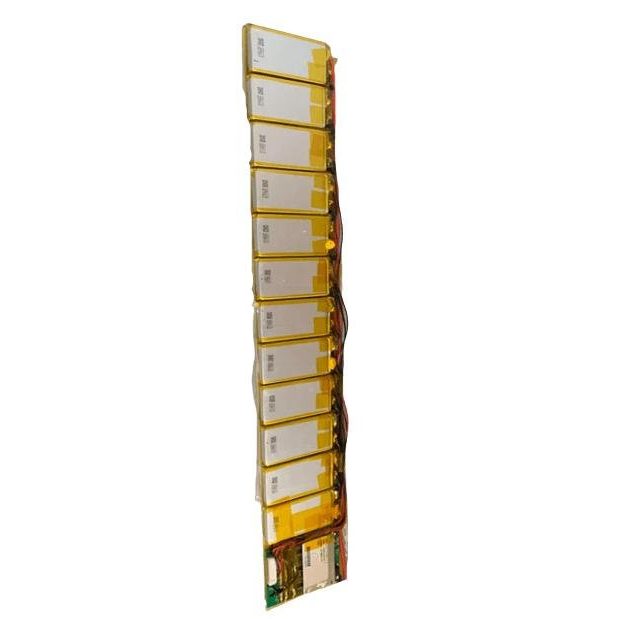 Batterie 193Wh pour Skateboard Electrique Exway X1 Pro - Weebot