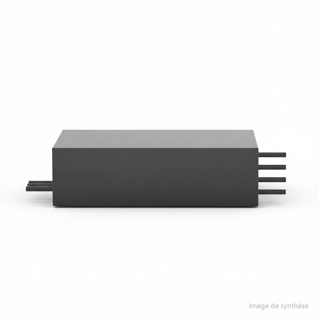 Batterie 60V 32Ah, vue 2