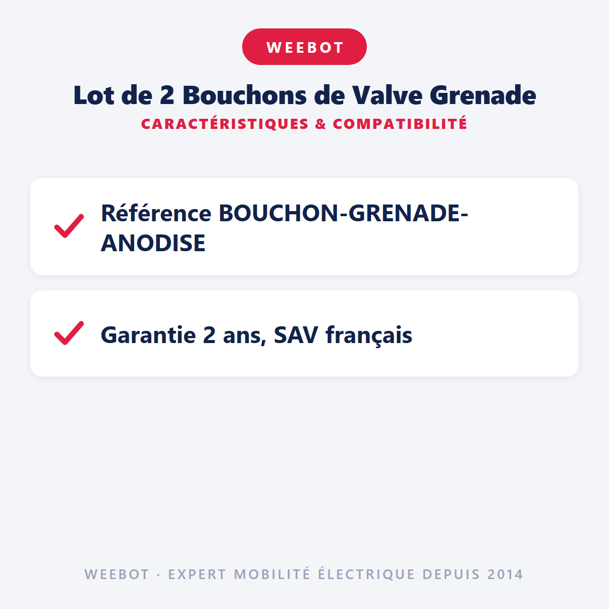 Lot de 2 Bouchons de Valve Grenade : caractéristiques et compatibilité
