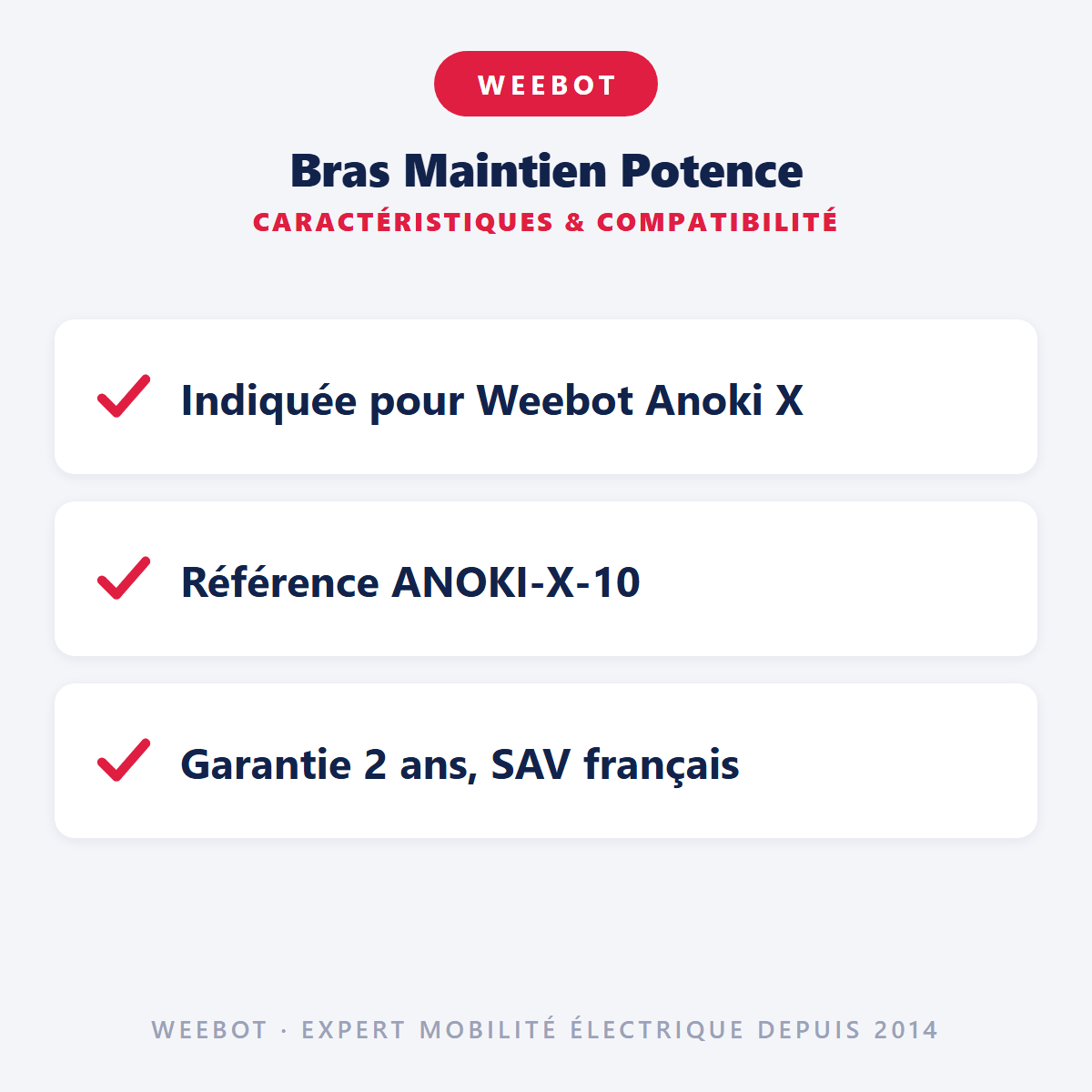 Bras Maintien Potence pour Trottinette Electrique Weebot Anoki X - Weebot