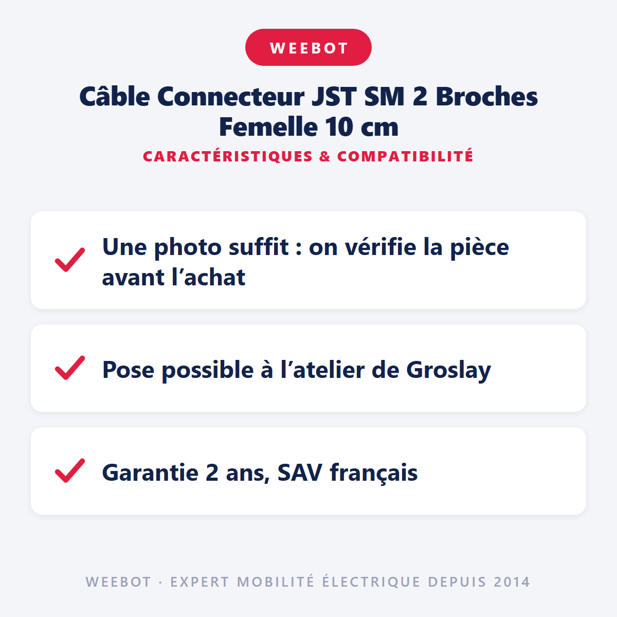 Câble Connecteur JST SM 2 Broches Femelle 10 cm : caractéristiques et compatibilité