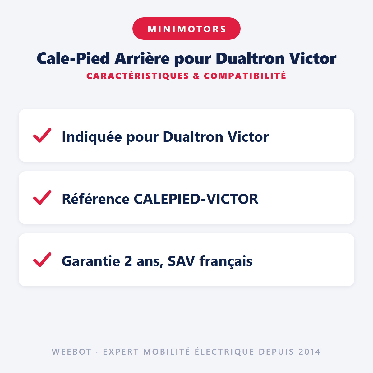 Cale-Pied Arrière pour Dualtron Victor : caractéristiques et compatibilité