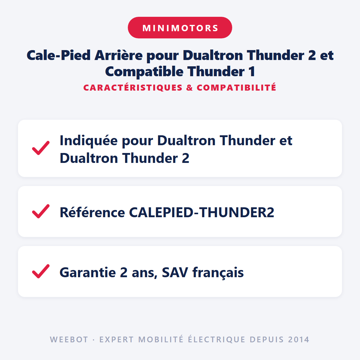 Cale-Pied Arrière pour Dualtron Thunder 2 et Compatible Thunder 1 : caractéristiques et compatibilité