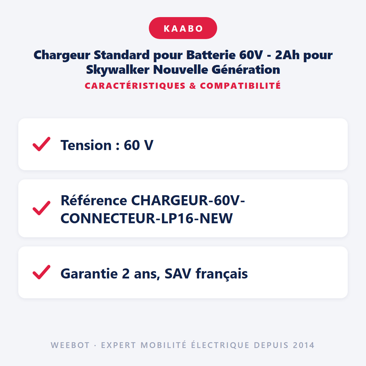 Chargeur Standard pour Batterie 60V - 2Ah pour Skywalker Nouvelle Génération - Weebot