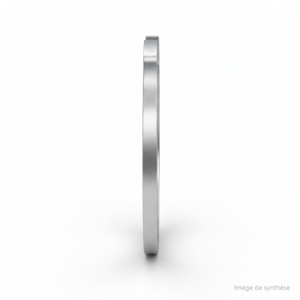 Circlip Extérieur, vue 2