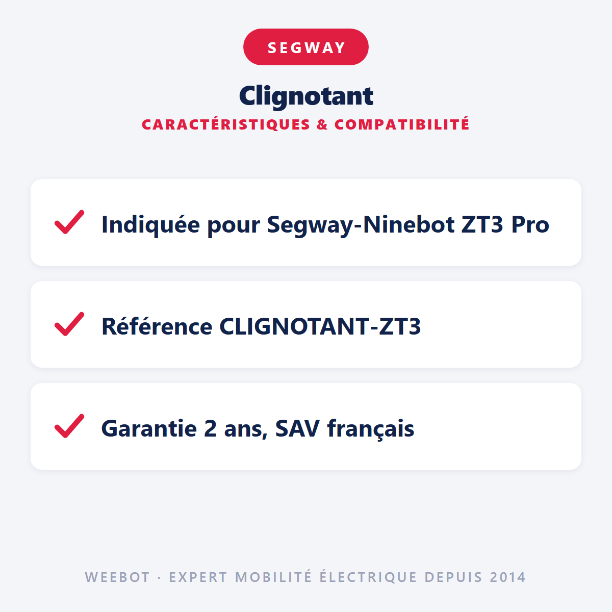 Clignotant Pour Trottinette Électrique Segway Zt3 Pro - Weebot