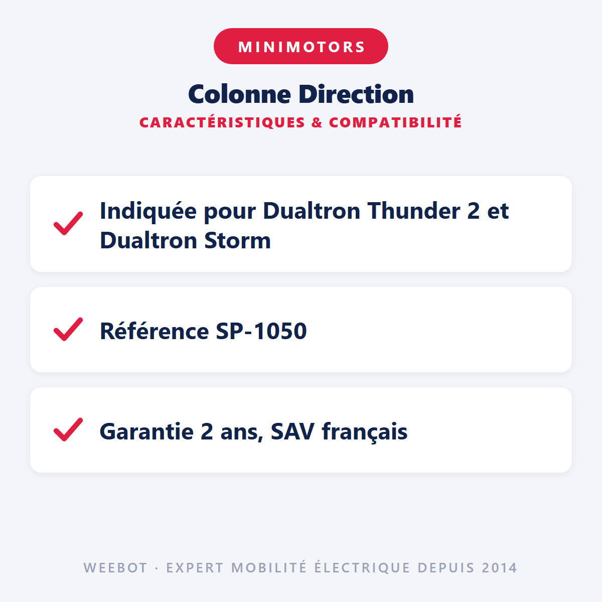 Colonne Direction (3 trous) Pour Trottinette Électrique Dualtron Thunder 2 et Dualtron Storm - Weebot
