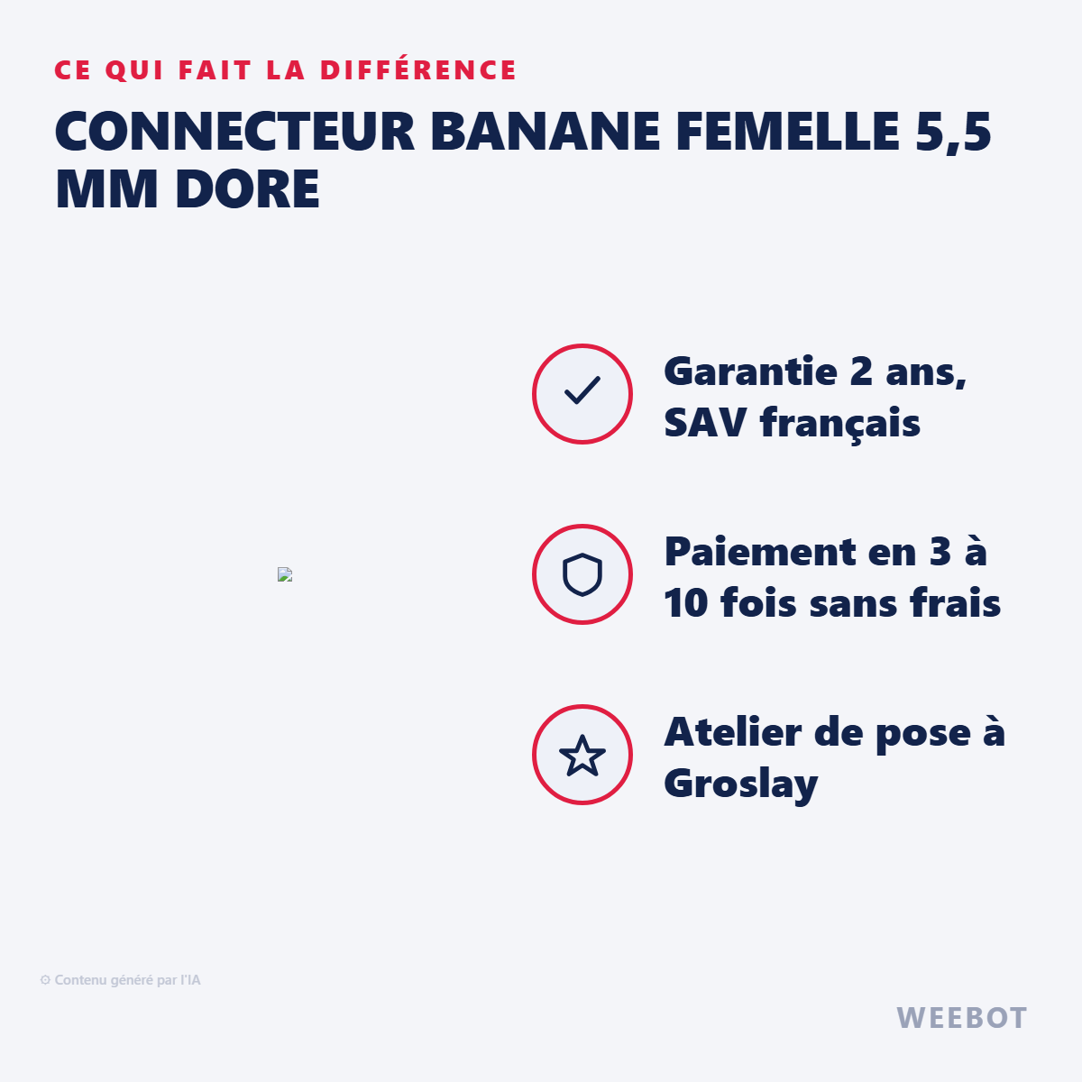 Connecteur Banane Femelle 5,5 mm Dore : les points forts