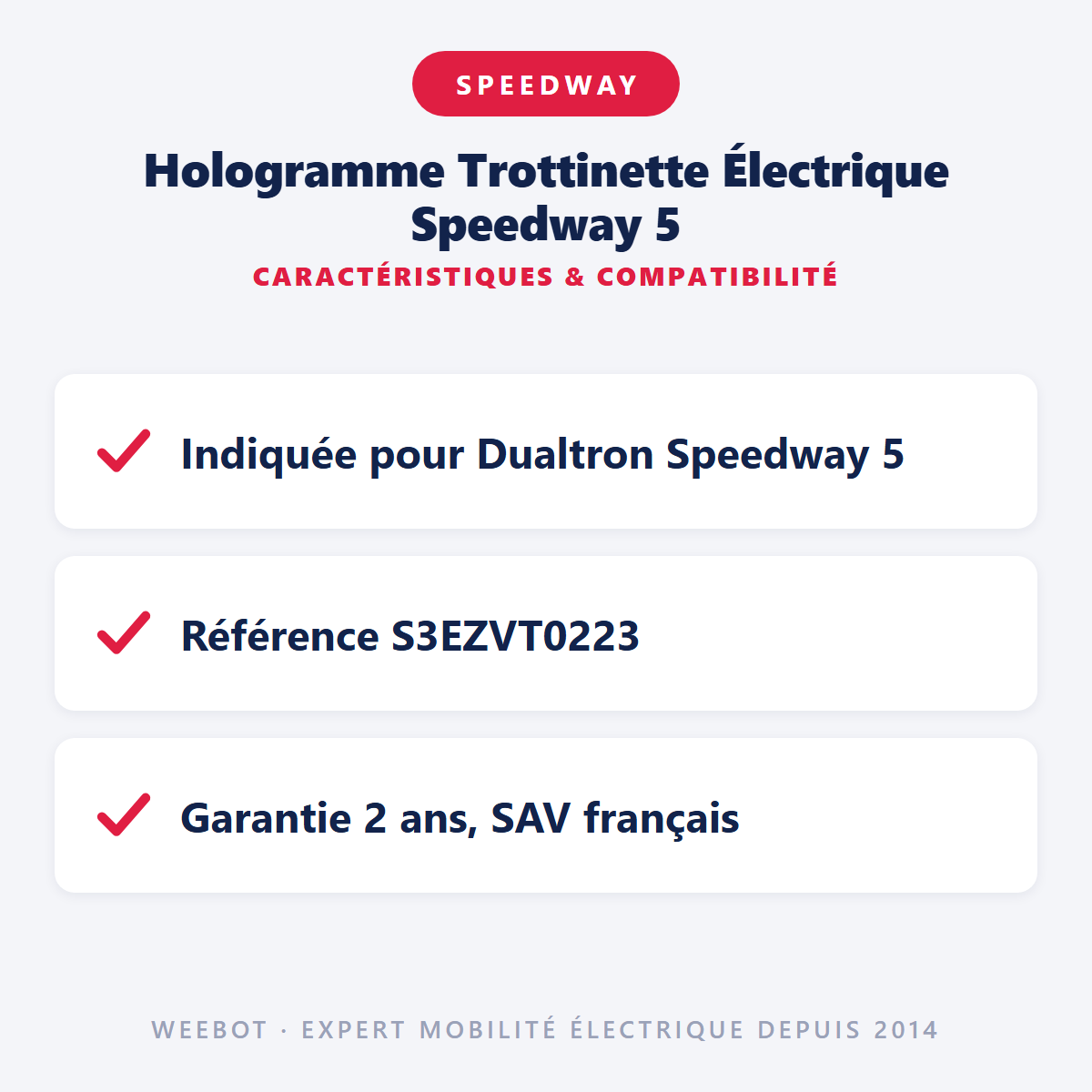 Hologramme Trottinette Électrique Speedway 5 : caractéristiques et compatibilité