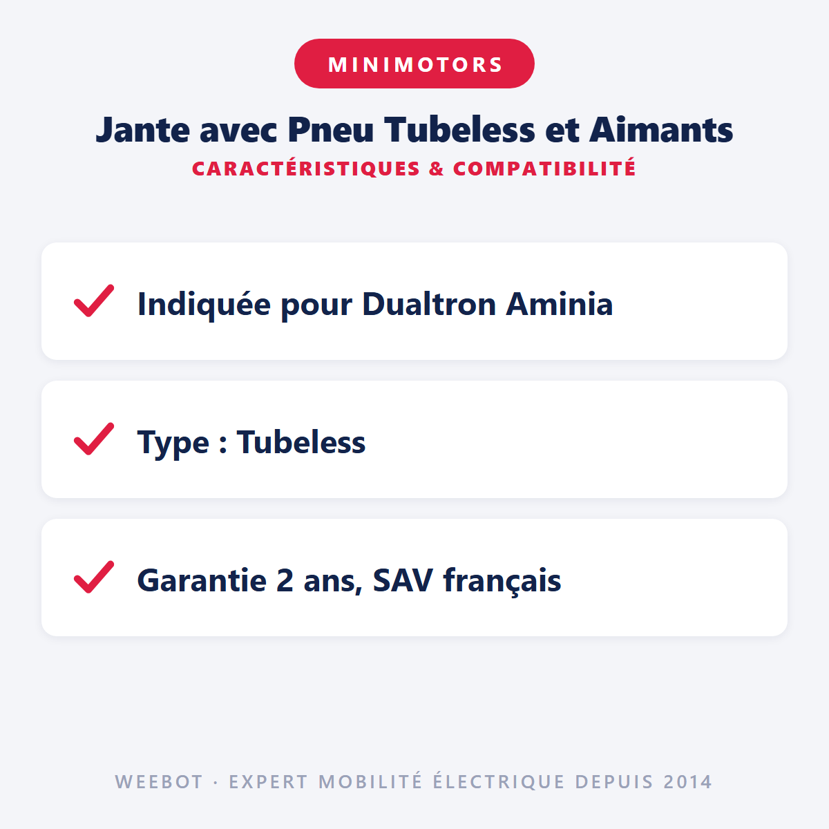 Jante avec Pneu Tubeless et Aimants : caractéristiques et compatibilité