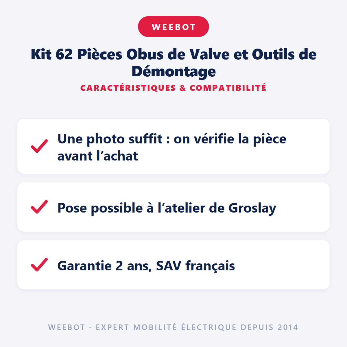 Kit 62 Pièces Obus de Valve et Outils de Démontage : caractéristiques et compatibilité