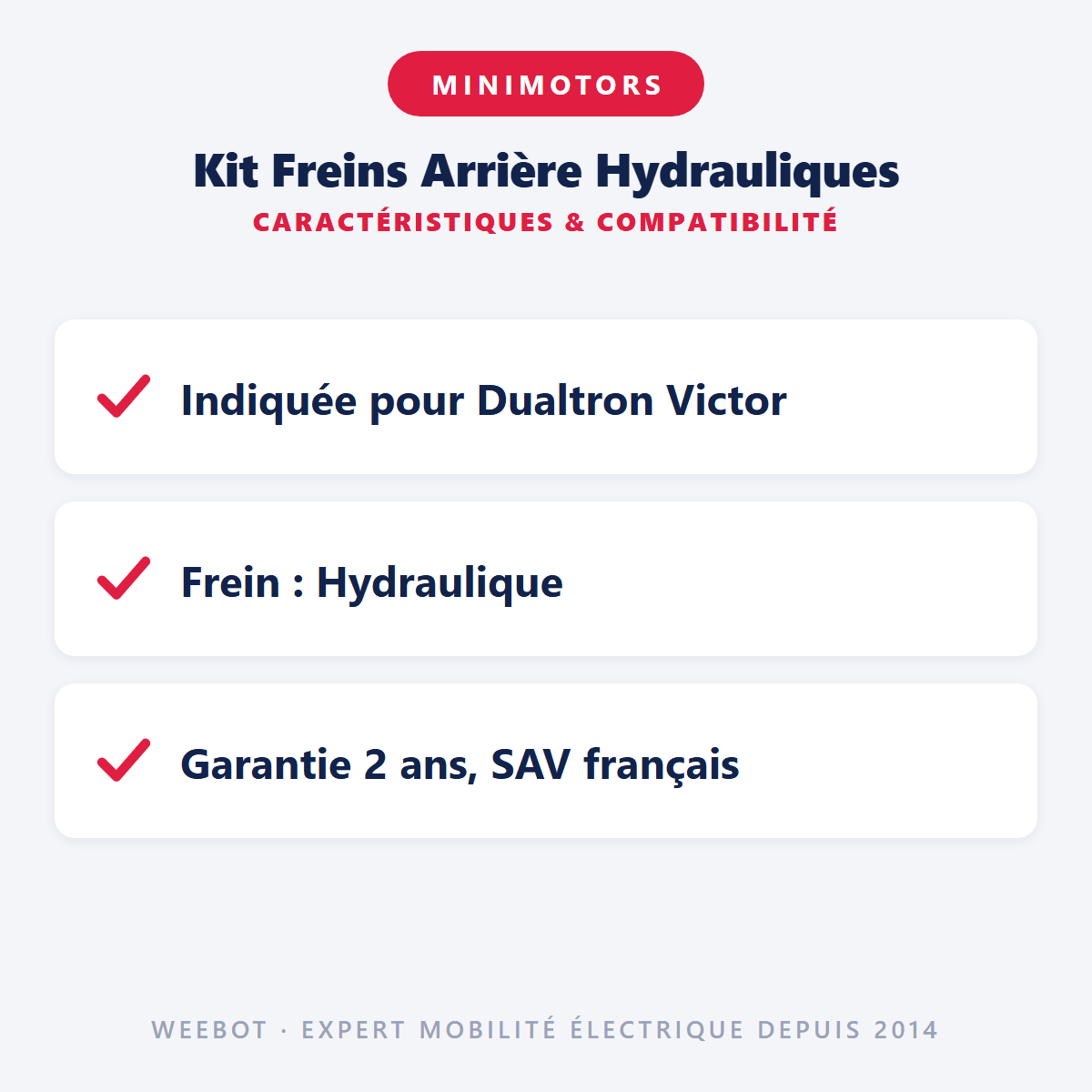 Kit Freins Arrière Hydrauliques (Gauche) pour Trottinette Électrique Dualtron Victor - Weebot