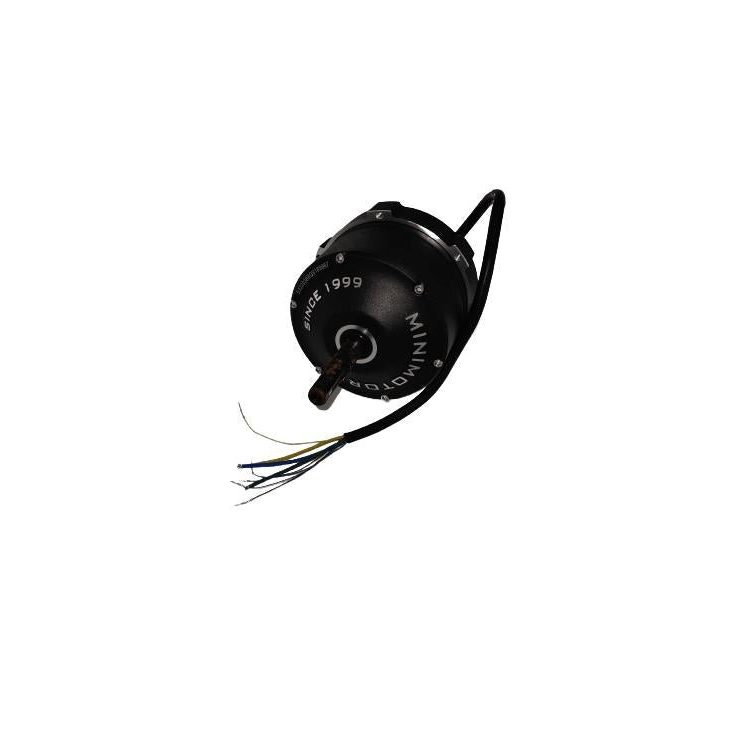 Moteur Brushless pour Trottinette Électrique Dualtron X 2 - Weebot