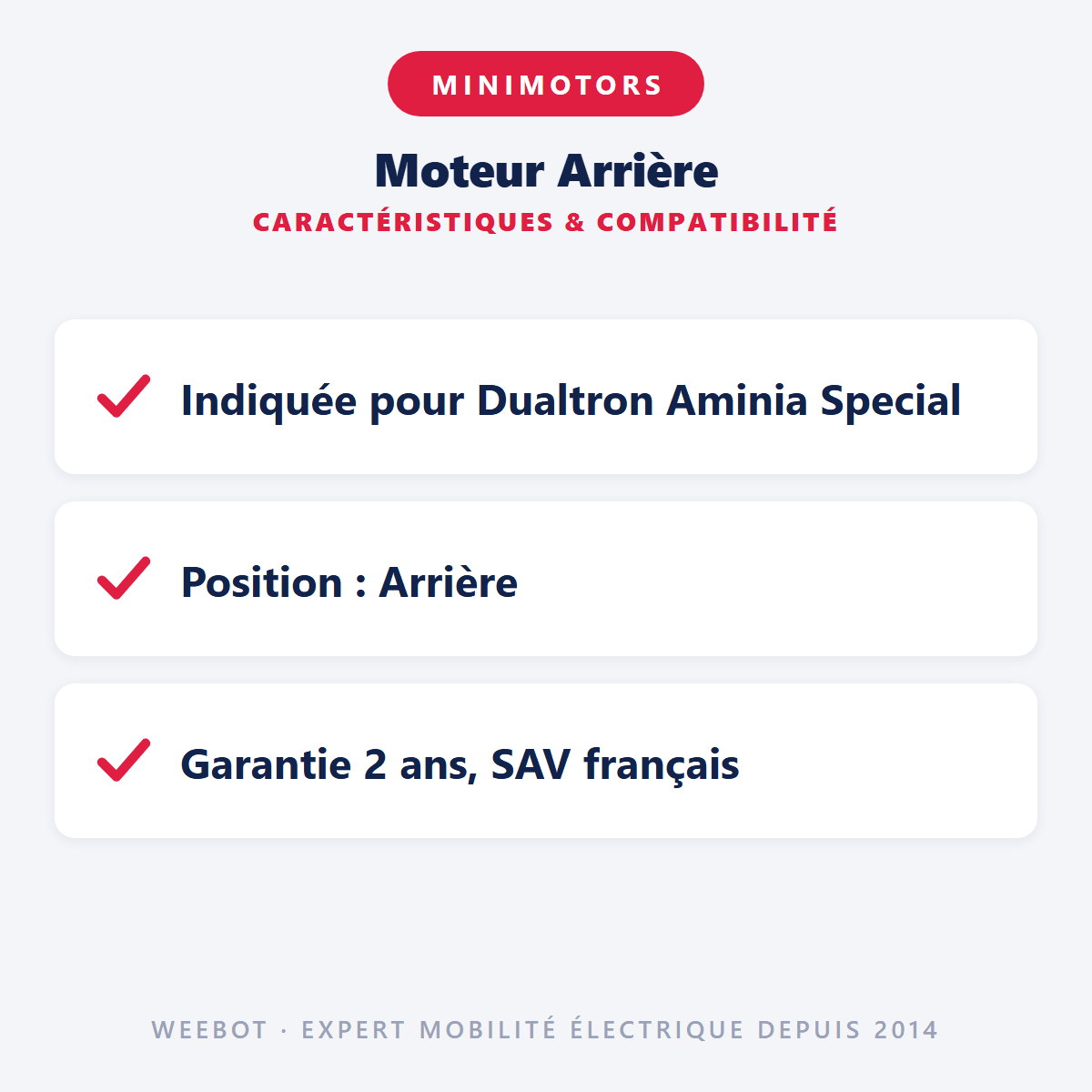 Moteur Arrière pour Trottinette Électrique Dualtron Aminia Special - Weebot