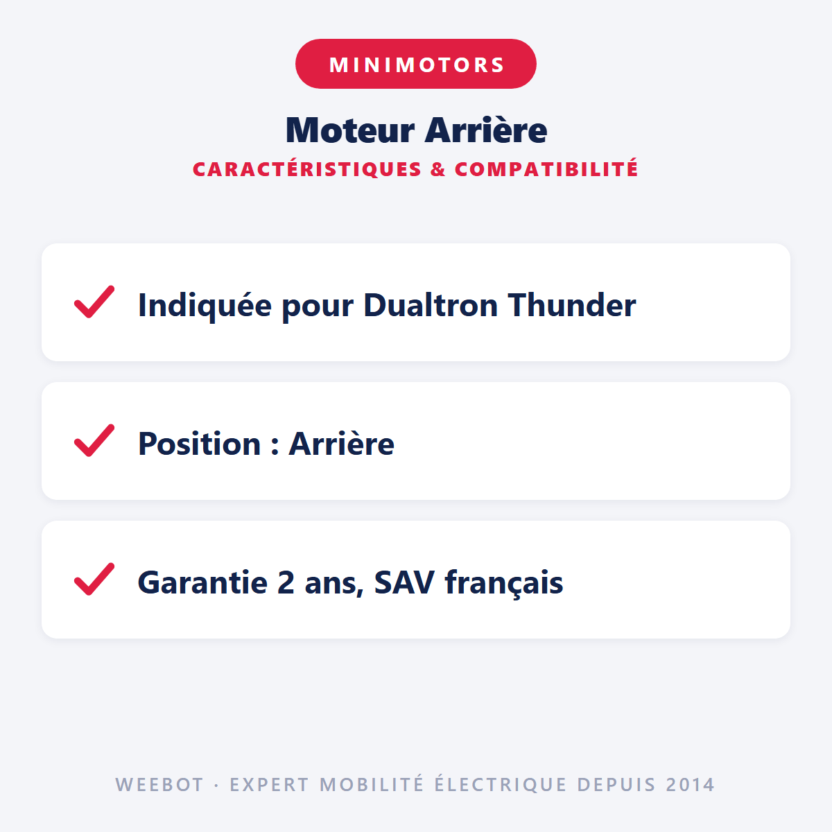 Moteur Arrière pour Trottinette Électrique Dualtron Thunder / Ultra - Weebot