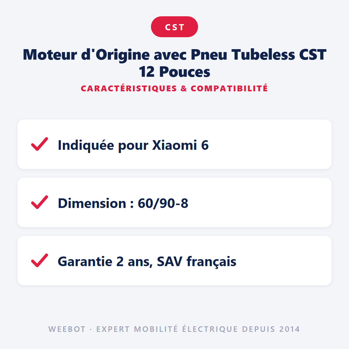 Moteur d'Origine avec Pneu Tubeless CST 12 Pouces : caractéristiques et compatibilité
