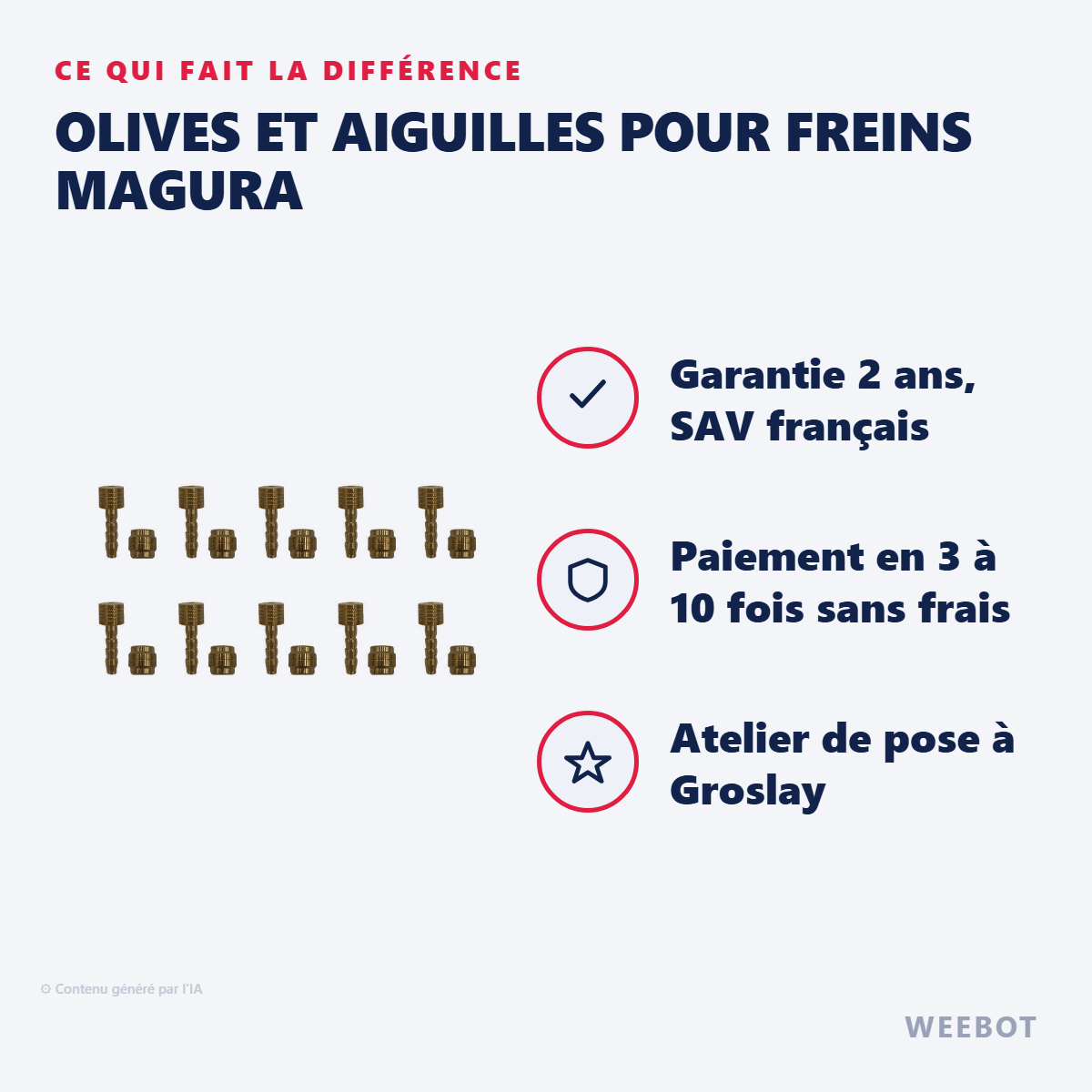 Olives et Aiguilles pour Freins Magura (x10 sets) pour Trottinette Électrique - Weebot