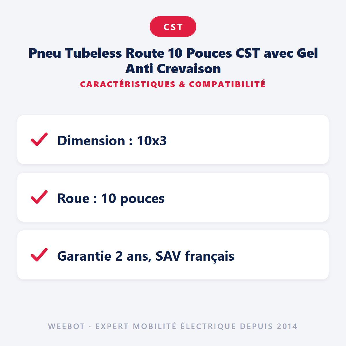 Pneu Tubeless Route 10 Pouces (10x3.00-6) CST avec Gel Anti Crevaison pour Trottinette Électrique (Dualtron, Weebot, Zero, Speedtrott, Eroz) - Weebot