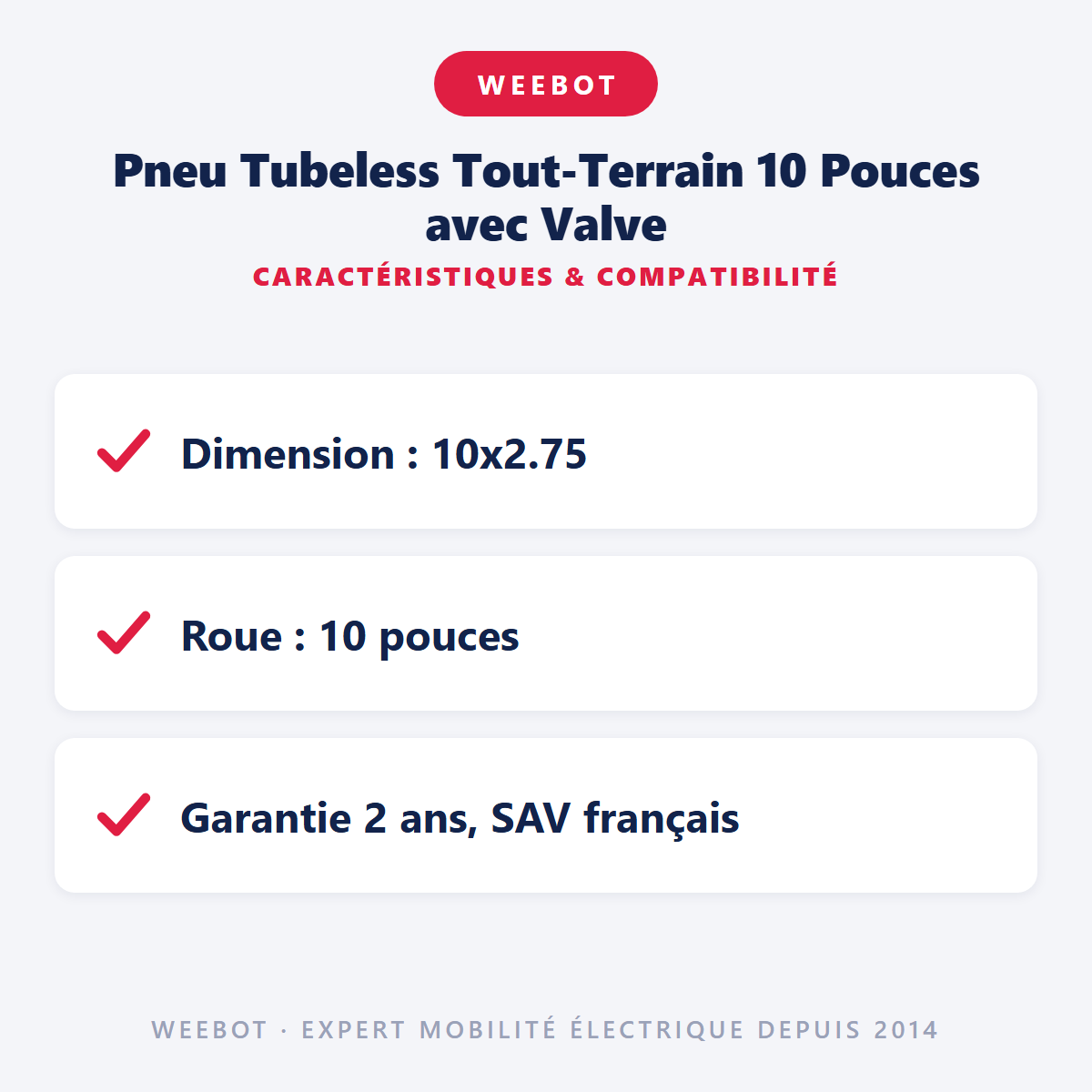 Pneu Tubeless Tout-Terrain 10 Pouces avec Valve : caractéristiques et compatibilité