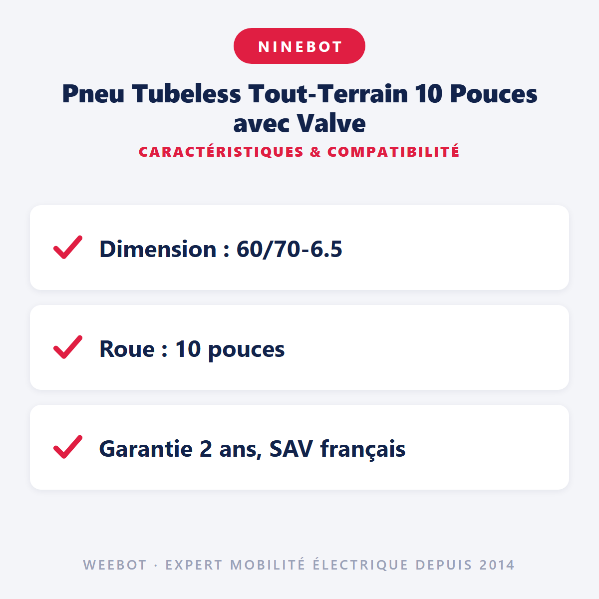 Pneu Tubeless Tout-Terrain 10 Pouces avec Valve : caractéristiques et compatibilité
