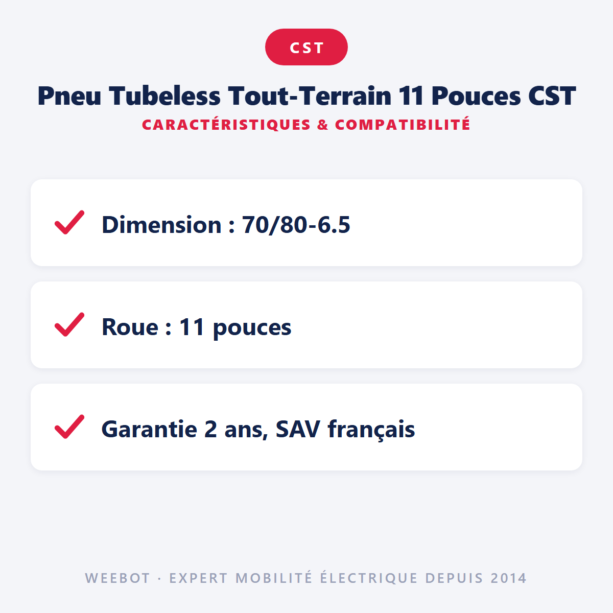 Pneu Tubeless Tout-Terrain 11 Pouces CST : caractéristiques et compatibilité