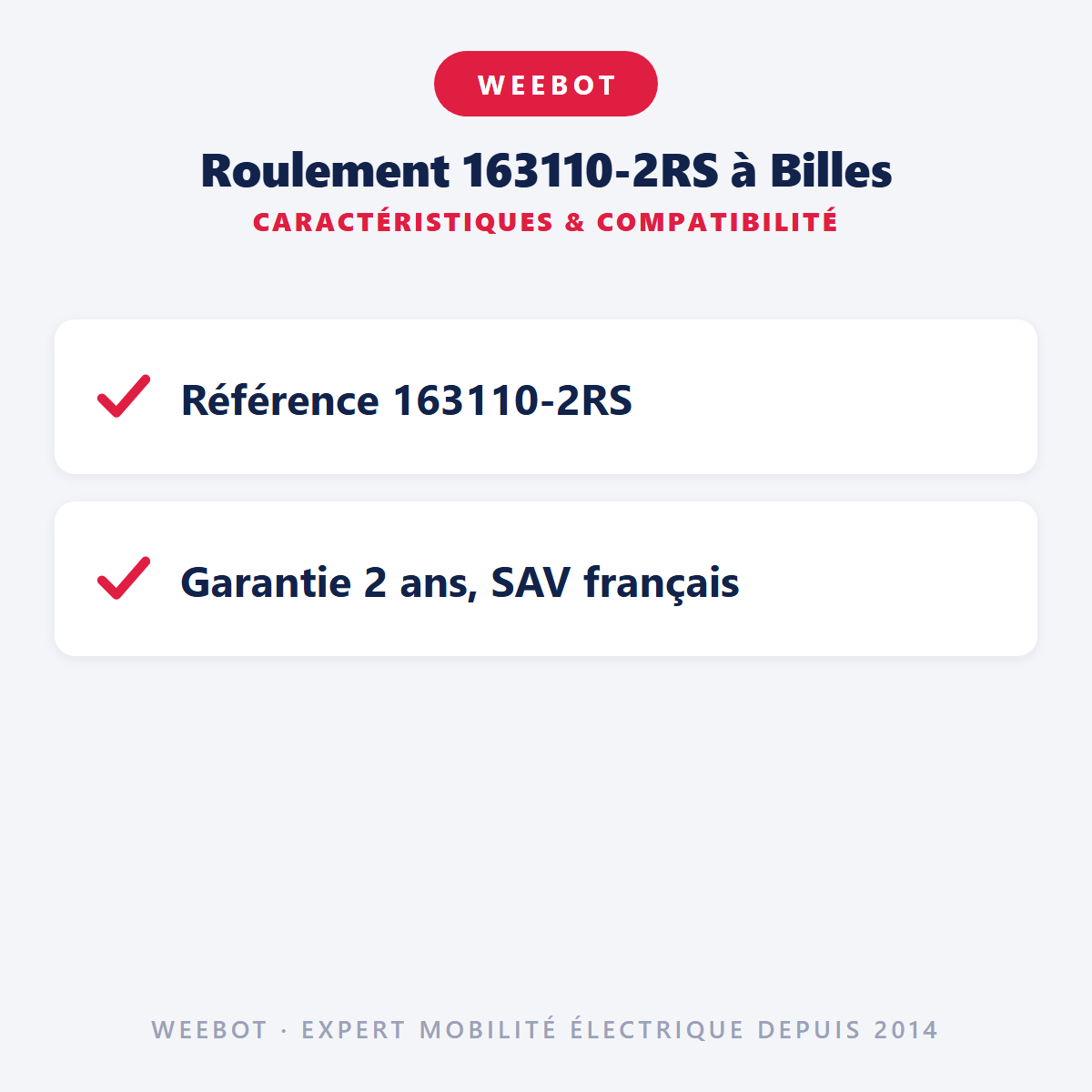 Roulement 163110-2RS à Billes : caractéristiques et compatibilité