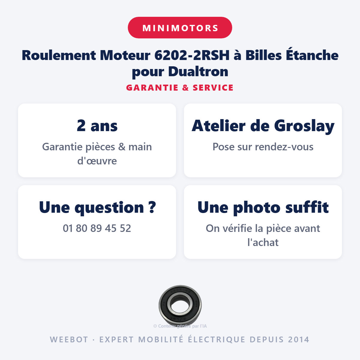 Roulement Moteur 6202-2RSH à Billes Étanche pour Dualtron : garantie 2 ans et service après-vente