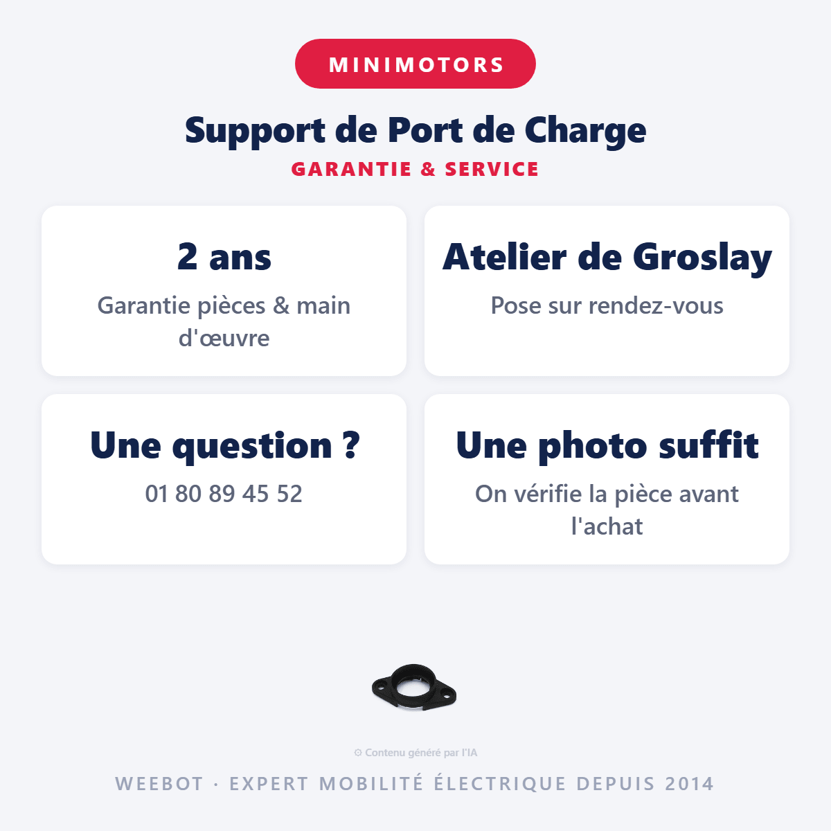 Support de Port de Charge pour Trottinette Électrique Dualtron Togo 48V - Weebot