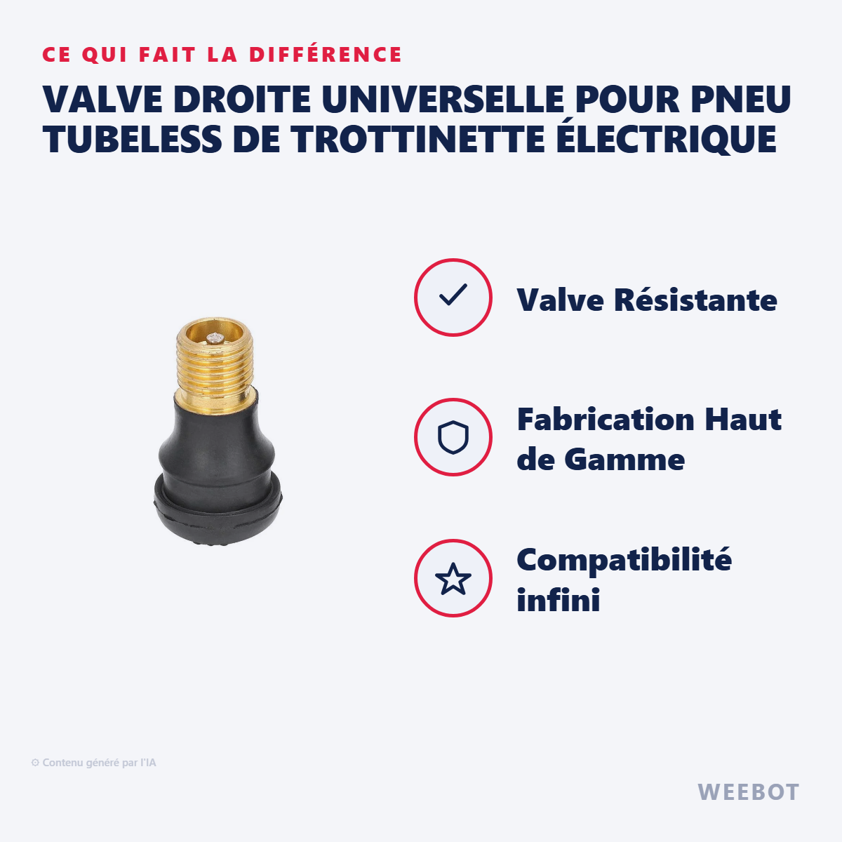 Valve Droite Universelle pour Pneu Tubeless de Trottinette Électrique : les points forts