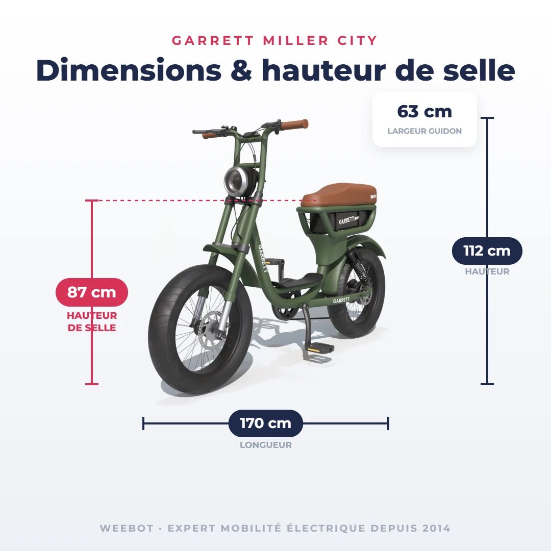 Fatbike Électrique Biplace Cargo Garrett Miller City - Weebot