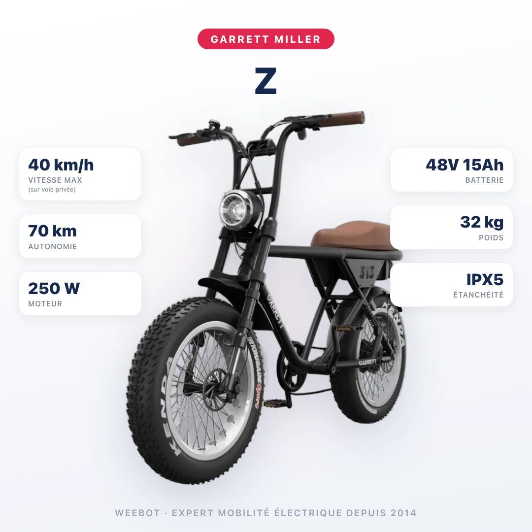 Fatbike Électrique Biplace Cargo Garrett Miller Z - Weebot